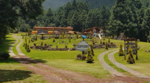 Hallan cuatro cuerpos en fosa clandestina de La Marquesa