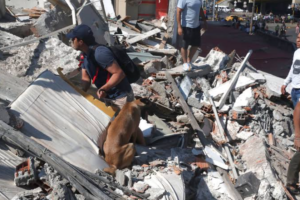 Un terremoto de magnitud 7,4 sacude Colombia